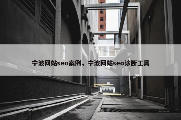 宁波网站seo案例，宁波网站seo诊断工具
