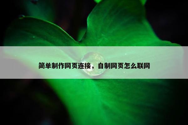 简单制作网页连接，自制网页怎么联网