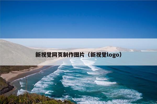 新视觉网页制作图片（新视觉logo）