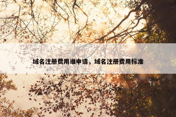 域名注册费用谁申请，域名注册费用标准