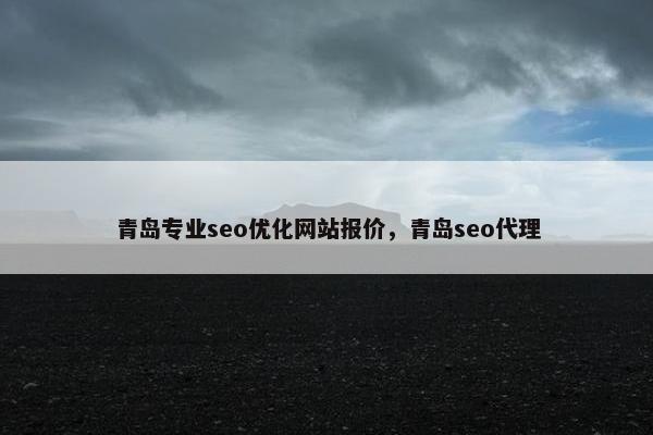 青岛专业seo优化网站报价，青岛seo代理