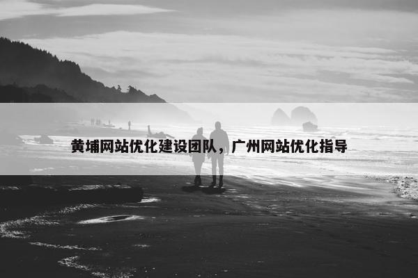 黄埔网站优化建设团队，广州网站优化指导