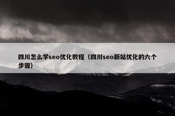 四川怎么学seo优化教程（四川seo新站优化的六个步骤）