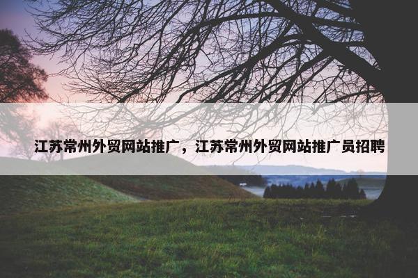 江苏常州外贸网站推广，江苏常州外贸网站推广员招聘