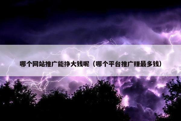 哪个网站推广能挣大钱呢（哪个平台推广赚最多钱）