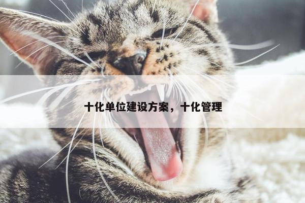 十化单位建设方案，十化管理