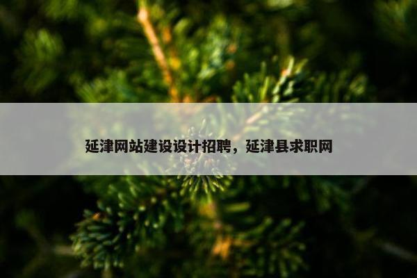 延津网站建设设计招聘，延津县求职网
