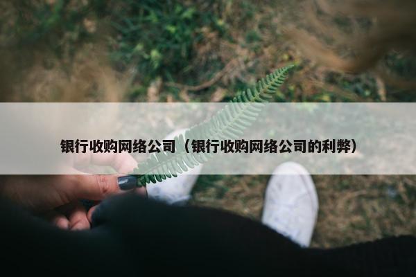 银行收购网络公司（银行收购网络公司的利弊）