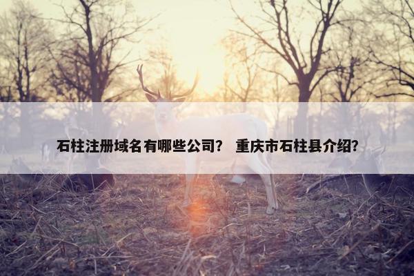石柱注册域名有哪些公司？ 重庆市石柱县介绍？
