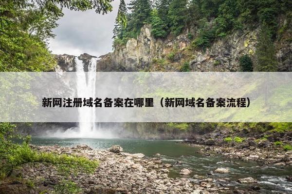 新网注册域名备案在哪里（新网域名备案流程）