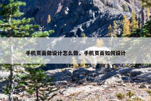 手机页面做设计怎么做，手机页面如何设计