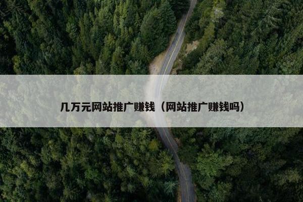 几万元网站推广赚钱（网站推广赚钱吗）