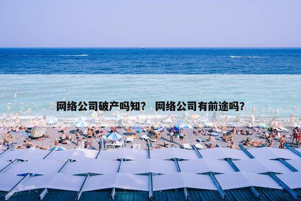 网络公司破产吗知？ 网络公司有前途吗？