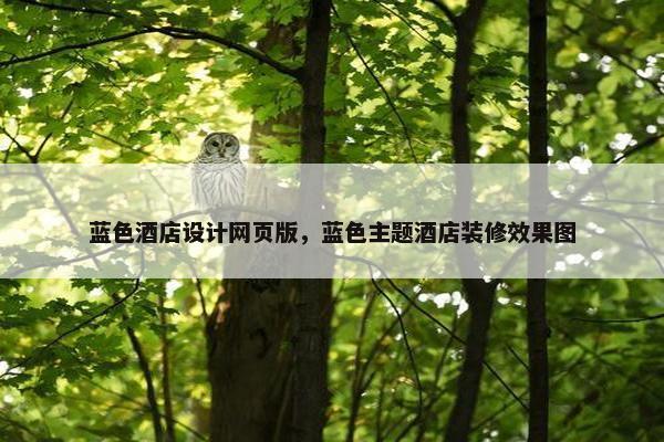 蓝色酒店设计网页版，蓝色主题酒店装修效果图