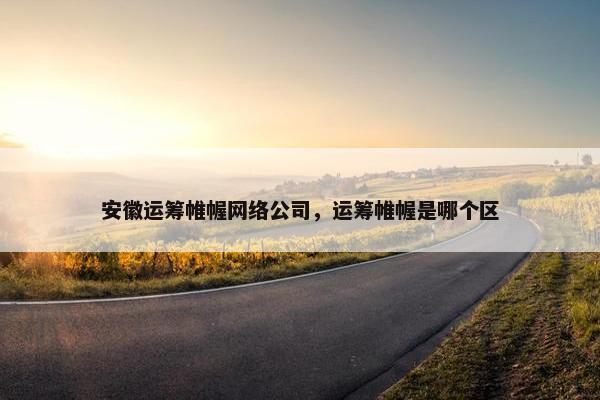 安徽运筹帷幄网络公司，运筹帷幄是哪个区