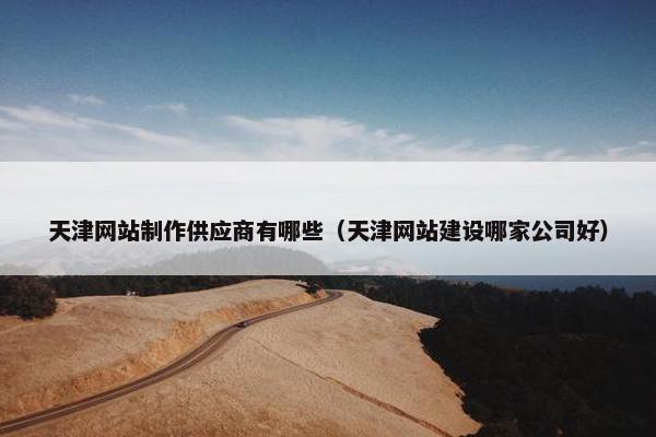 天津网站制作供应商有哪些（天津网站建设哪家公司好）