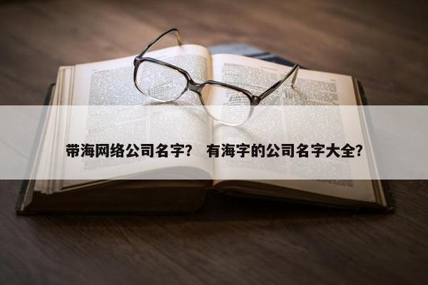 带海网络公司名字？ 有海字的公司名字大全？