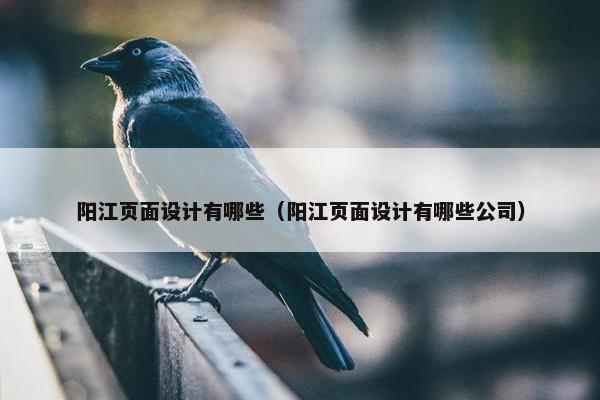 阳江页面设计有哪些（阳江页面设计有哪些公司）