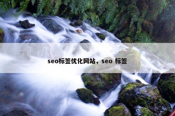 seo标签优化网站，seo 标签