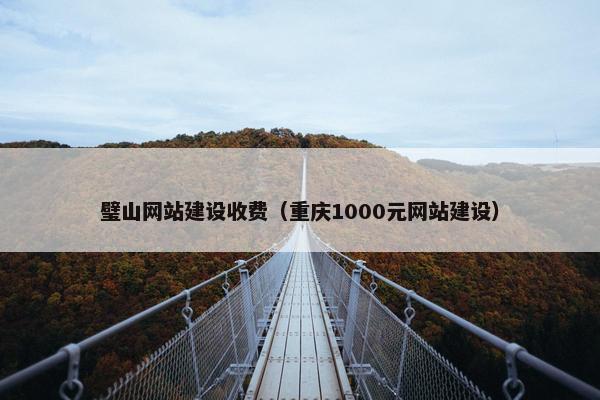璧山网站建设收费（重庆1000元网站建设）