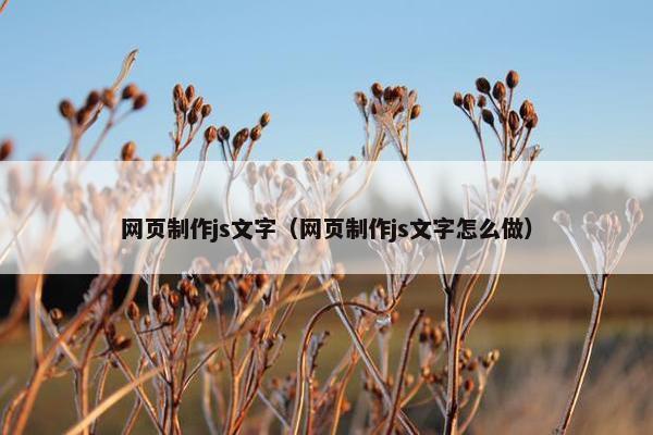网页制作js文字（网页制作js文字怎么做）