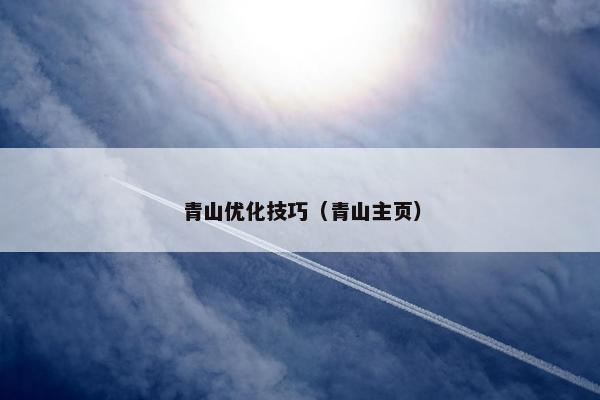 青山优化技巧（青山主页）