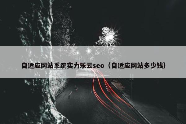 自适应网站系统实力乐云seo（自适应网站多少钱）