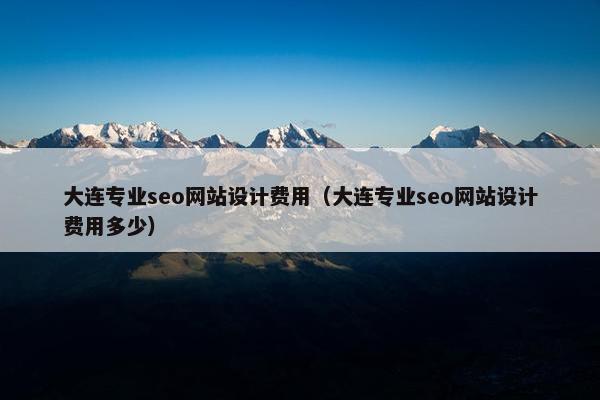 大连专业seo网站设计费用（大连专业seo网站设计费用多少）