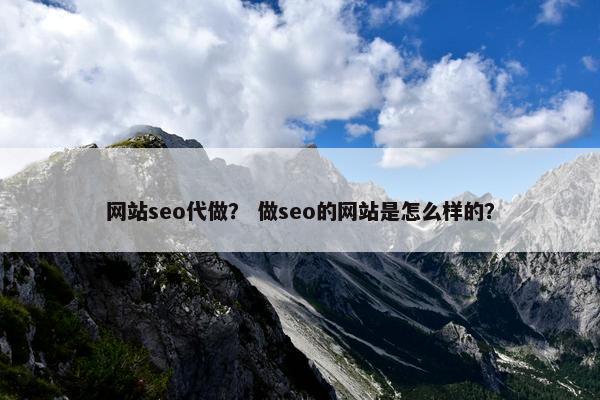 网站seo代做？ 做seo的网站是怎么样的？
