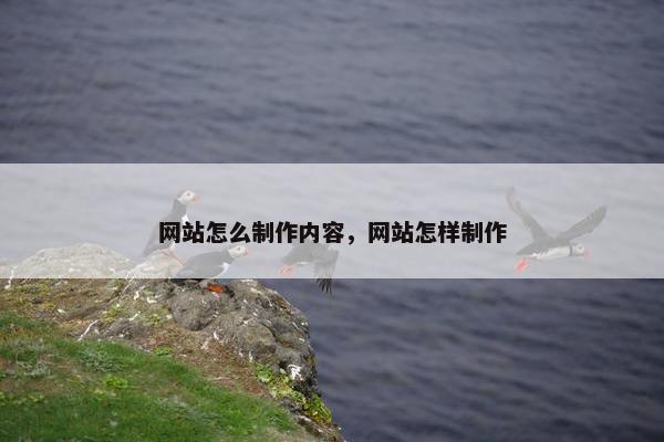 网站怎么制作内容，网站怎样制作