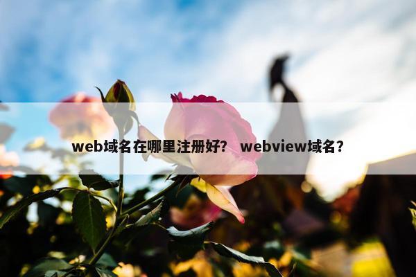 web域名在哪里注册好？ webview域名？