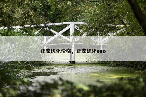 正安优化价格，正安优化seo