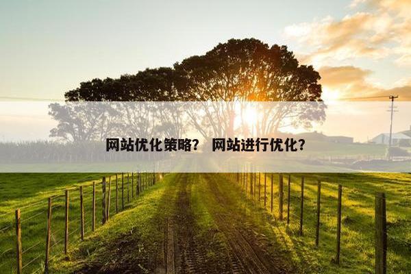 网站优化策略？ 网站进行优化？