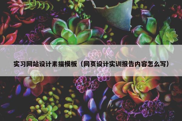 实习网站设计素描模板（网页设计实训报告内容怎么写）