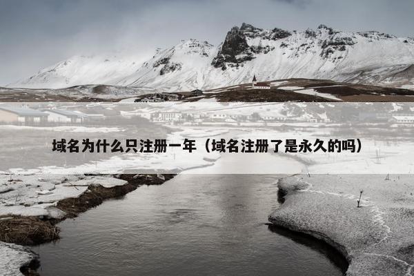 域名为什么只注册一年（域名注册了是永久的吗）