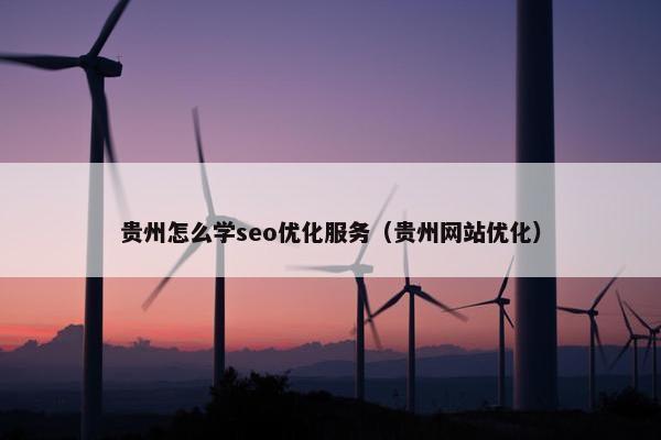贵州怎么学seo优化服务（贵州网站优化）