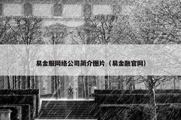 易金服网络公司简介图片（易金融官网）