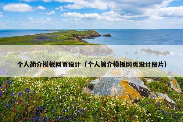 个人简介模板网页设计（个人简介模板网页设计图片）