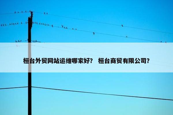桓台外贸网站运维哪家好？ 桓台商贸有限公司？
