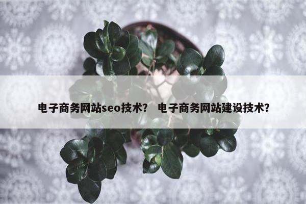 电子商务网站seo技术？ 电子商务网站建设技术？