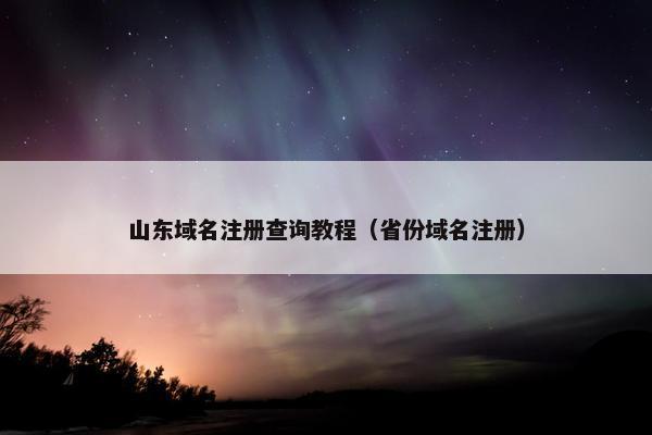 山东域名注册查询教程（省份域名注册）