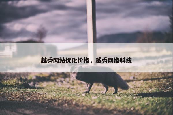 越秀网站优化价格，越秀网络科技