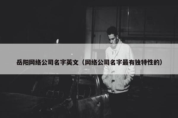 岳阳网络公司名字英文（网络公司名字最有独特性的）