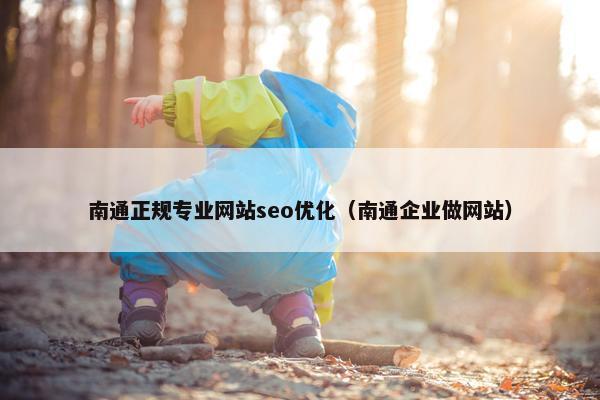 南通正规专业网站seo优化（南通企业做网站）