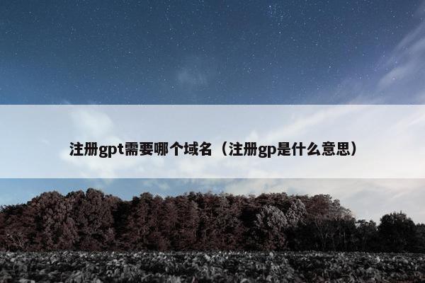 注册gpt需要哪个域名（注册gp是什么意思）