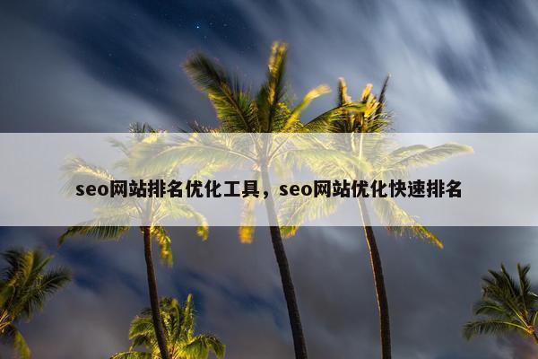 seo网站排名优化工具，seo网站优化快速排名