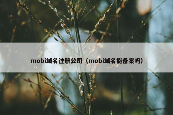 mobi域名注册公司（mobi域名能备案吗）