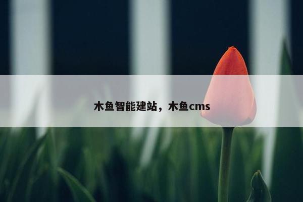 木鱼智能建站，木鱼cms