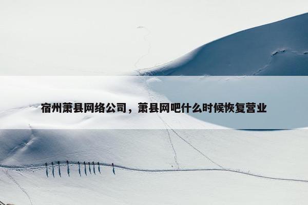 宿州萧县网络公司，萧县网吧什么时候恢复营业