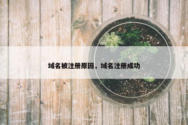 域名被注册原因，域名注册成功